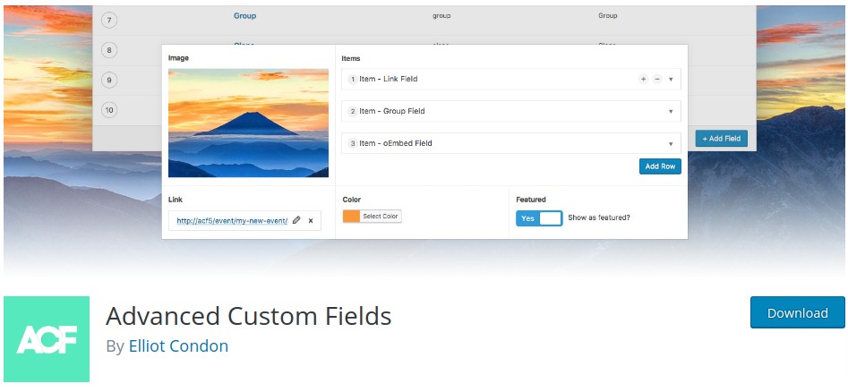 WordPress Custom Fields Plugins